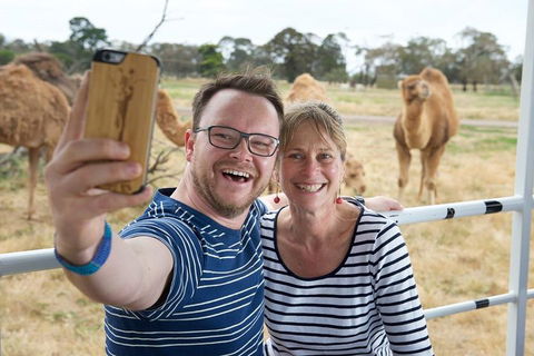Off-Road Safari At Werribee Open Range Zoo - Accommodation Directory 1