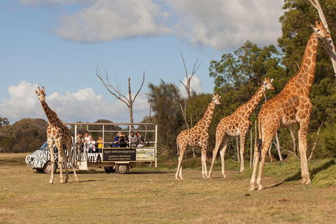 Off-Road Safari At Werribee Open Range Zoo - Accommodation Directory 3