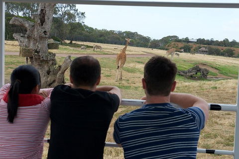 Off-Road Safari At Werribee Open Range Zoo - Accommodation Directory 4