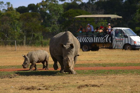 Off-Road Safari At Werribee Open Range Zoo - Accommodation Directory 5