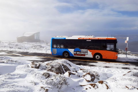 Hobart Hop-On Hop-Off Bus & Kunanyi/Mt Wellington Tour - Accommodation Directory 5