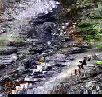 Full-Day Canyoning Experience at Stunning Empress Canyon - Accommodation Directory