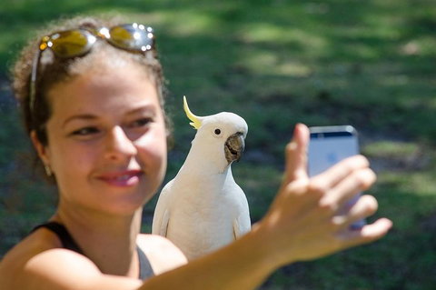 2-Day Melbourne To Adelaide Tour: Great Ocean Road And Grampians One Way Trip - Accommodation Directory 0