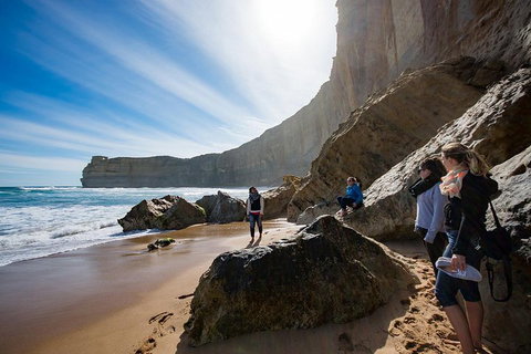 2-Day Melbourne To Adelaide Tour: Great Ocean Road And Grampians One Way Trip - Accommodation Directory 1