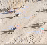 Unlimited Sandboarding - Accommodation Directory
