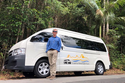 Sunshine Coast Hinterland Rainforest, Views And Montville Day Tour Inc. Lunch - Accommodation Directory 1