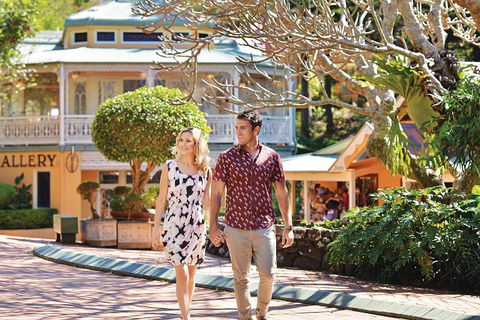 Sunshine Coast Hinterland Rainforest, Views And Montville Day Tour Inc. Lunch - Accommodation Directory 4