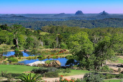 Sunshine Coast Hinterland Rainforest, Views And Montville Day Tour Inc. Lunch - Accommodation Directory 5