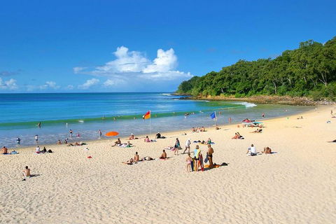 Noosa Everglades Serenity Cruise & Highlights Tour Inc. Lunch & Cruise - Accommodation Directory 4