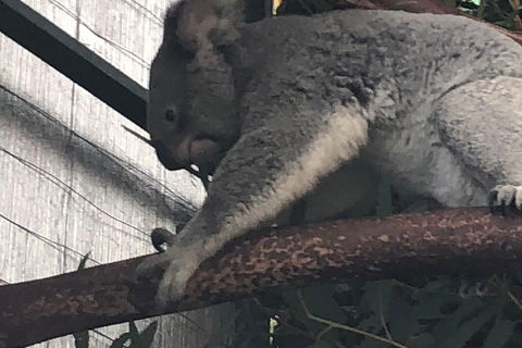 Perth Hills - Wildlife, Art & Gastronomy - Accommodation Directory 3