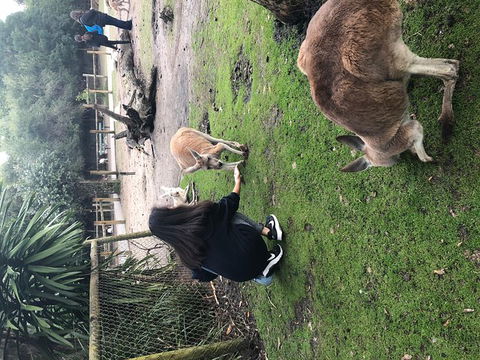 Perth Hills - Wildlife, Art & Gastronomy - Accommodation Directory 4