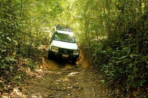 Barron Gorge And Kuranda National Park Half Day Rainforest And Waterfall 4WD Tour From Cairns - Accommodation Directory 2