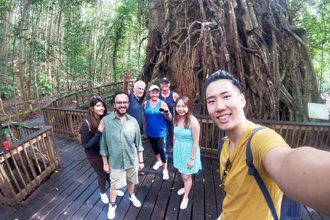 Barron Gorge And Kuranda National Park Half Day Rainforest And Waterfall 4WD Tour From Cairns - Accommodation Directory 5