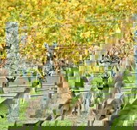 Margaret River Indulge and Discover Day Tour - Accommodation Directory
