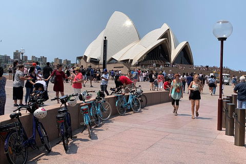 The Sydney Express - Accommodation Directory 4