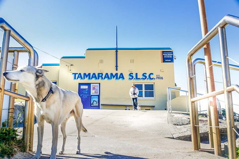 Smartphone & Camera Photography Basics - Accommodation Directory 5