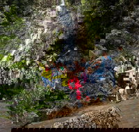 5-Day Lap of Tasmania Tour from Hobart flexible ticket - Accommodation Directory