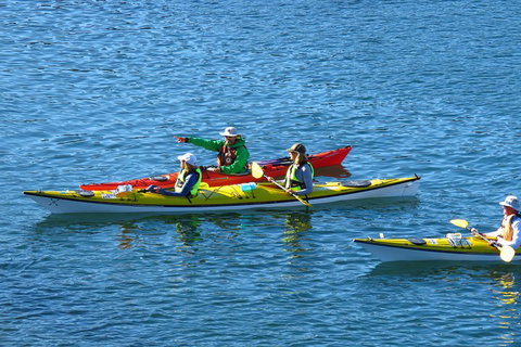 Half-Day Sydney Middle Harbour Guided Kayaking Eco Tour - Accommodation Directory 0