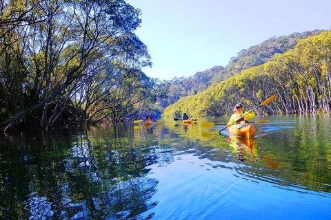 Half-Day Sydney Middle Harbour Guided Kayaking Eco Tour - Accommodation Directory 1