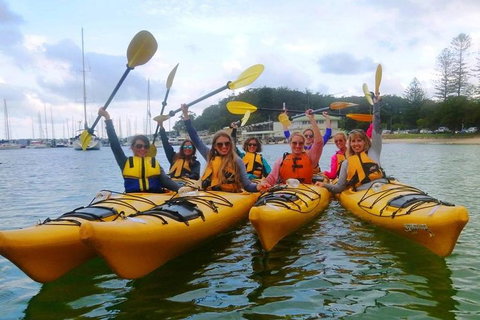 Half-Day Sydney Middle Harbour Guided Kayaking Eco Tour - Accommodation Directory 2