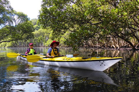 Half-Day Sydney Middle Harbour Guided Kayaking Eco Tour - Accommodation Directory 3
