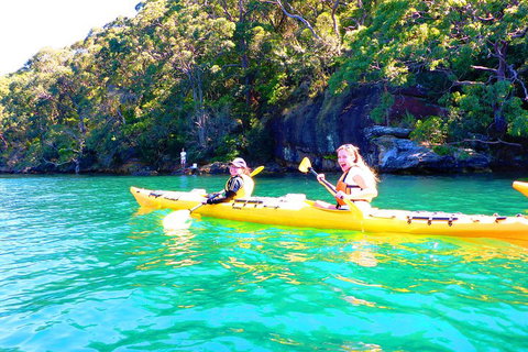 Half-Day Sydney Middle Harbour Guided Kayaking Eco Tour - Accommodation Directory 4