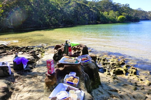 Half-Day Sydney Middle Harbour Guided Kayaking Eco Tour - Accommodation Directory 5