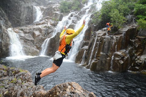 Behana Canyon Rainforest And Waterfall Experience - Accommodation Directory 3