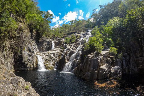 Behana Canyon Rainforest And Waterfall Experience - Accommodation Directory 5