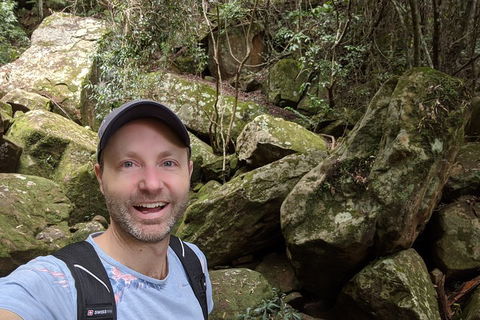 Australian Wildlife & Waterfalls Private Tour With 'Personalised Sydney Tours' - Accommodation Directory 4
