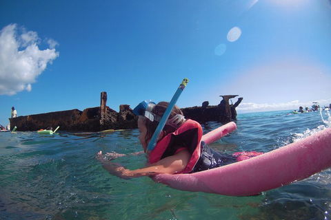 All Inclusive Dolphin And Tangalooma Wrecks Cruise - Accommodation Directory 2