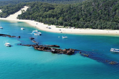 All Inclusive Dolphin And Tangalooma Wrecks Cruise - Accommodation Directory 4