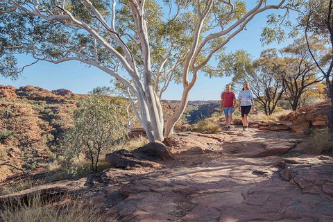 3-Day Tour From Uluru (Ayers Rock) To Alice Springs Via Kings Canyon - Accommodation Directory 1
