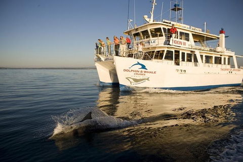 Jervis Bay Dolphin Watch Cruise - Accommodation Directory 3