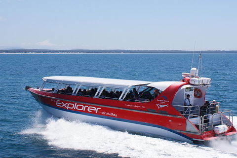 Whale Watching Jervis Bay - Accommodation Directory 1