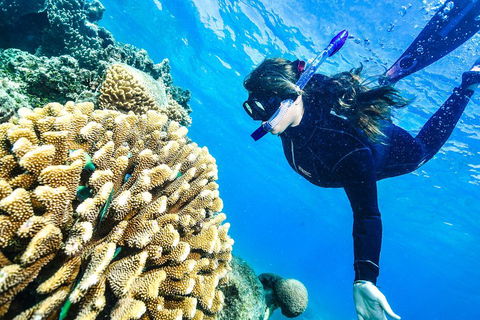 Green Island Day Trip From Cairns - Accommodation Directory 1