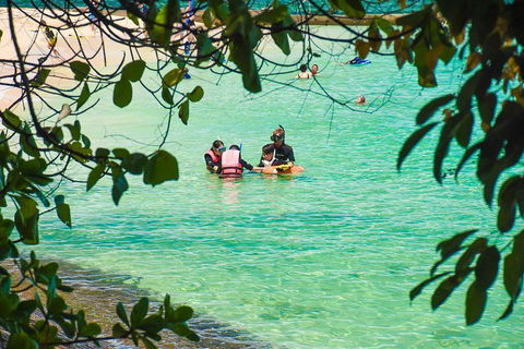 Green Island Day Trip From Cairns - Accommodation Directory 2