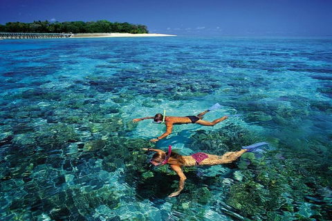 Green Island Day Trip From Cairns - Accommodation Directory 5