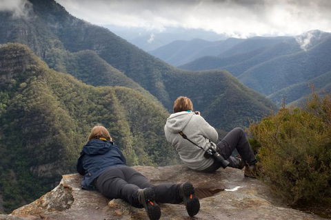 Inside The Greater Blue Mountains World Heritage - A Private Wildlife Safari Overnight - Accommodation Directory 0