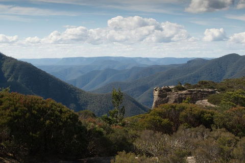 Inside The Greater Blue Mountains World Heritage - A Private Wildlife Safari Overnight - Accommodation Directory 5