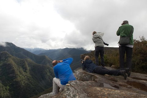 From The Mountains To The Bay - 4 Day Rediscovery Private Tour - Accommodation Directory 4