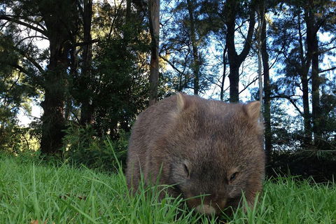 From The Mountains To The Bay - 4 Day Rediscovery Private Tour - Accommodation Directory 5