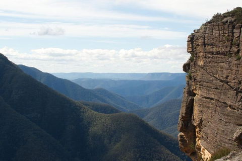 Inside The Greater Blue Mountains World Heritage - A Wildlife Safari Overnight - Accommodation Directory 4
