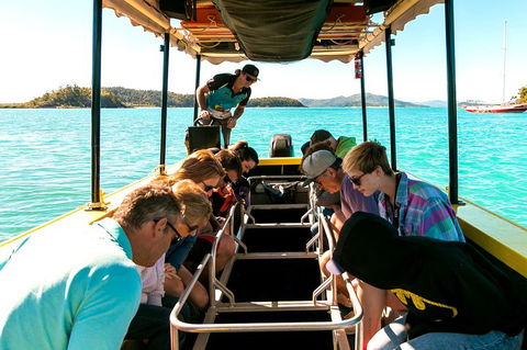 Airlie Beach Glass Bottom Boat Tour - Accommodation Directory 1