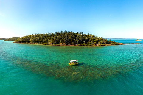Airlie Beach Glass Bottom Boat Tour - Accommodation Directory 3