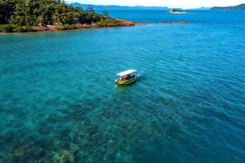 Airlie Beach Glass Bottom Boat Tour - Accommodation Directory 4