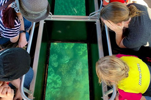 Airlie Beach Glass Bottom Boat Tour - Accommodation Directory 5