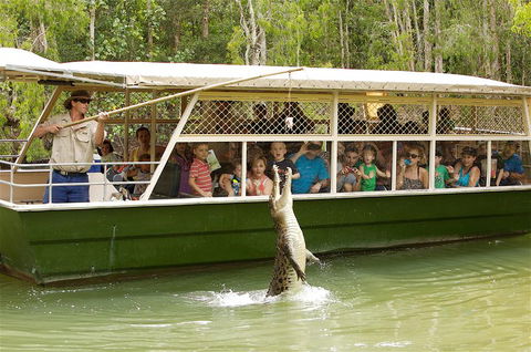 Hartley's Crocodile Adventure Half-Day Tour - Accommodation Directory 0
