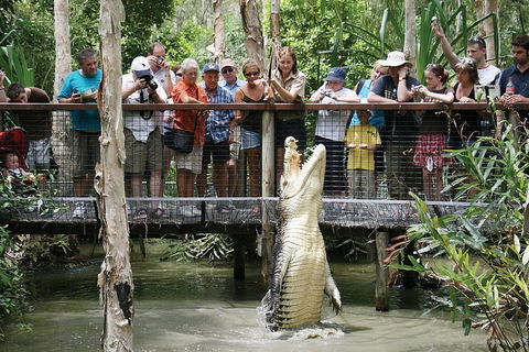 Hartley's Crocodile Adventure Half-Day Tour - Accommodation Directory 1