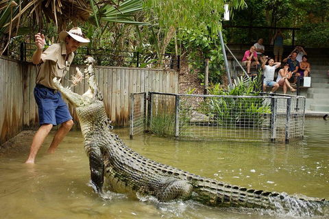 Hartley's Crocodile Adventure Half-Day Tour - Accommodation Directory 2